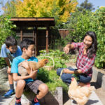 Houzz TV: An Edible Backyard in an Eichler Home (24 photos)