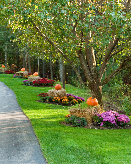 Autumn/Halloween Decor