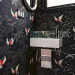 Room of the Day: Drab Toilet Closet Now a Dramatic Powder Room (3 photos)