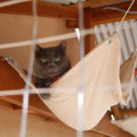 How to Get Your ‘Catio’ On (26 photos)