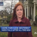 Home purchase sentiment index falls after all-time high