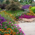 Fertilizer Basics to Help Boost Plant Health (9 photos)