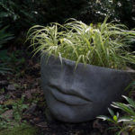 13 Summer Container Gardens From Houzz Readers (14 photos)