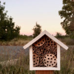 Beekeeping Without a Hive (16 photos)