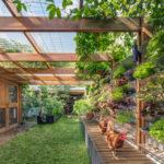 A Model of Green Living Inside and Out (10 photos)