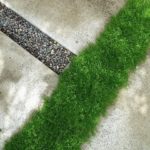 Greening Between the Lines (6 photos)
