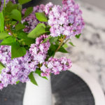 Get Lilacs! And 6 More Ways to Make the Most of This Weekend (7 photos)
