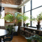 My Houzz: A Restaurateur’s Lush and Luxe Chicago Loft (21 photos)