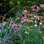 15 Inspiring Summer Gardens in All Their Colorful Glory (18 photos)