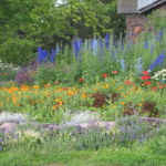 Readers Share Their Cottage Gardens (31 photos)