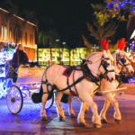 Riverside weighs safety concerns as it decides who can give horse carriage rides at Festival of Lights