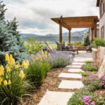 How to Get Started on a Landscape Redesign (9 photos)