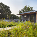 A Sauna and a Native Meadow Garden Elevate a Minnesota Rooftop (9 photos)
