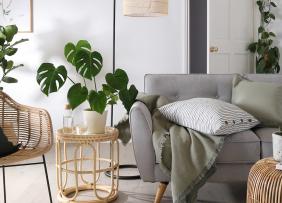 Green house plants accent a wicker, white and gray colored living room with chairs couch and lamp.