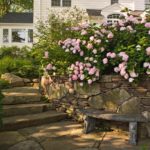 9 Peaceful Garden Scenes to Bring a Moment of Serenity (9 photos)