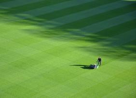 Lawn Stripes