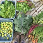 What to Do in Fall to Get Edible Gardens Set for Spring Planting (10 photos)