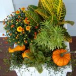 12 Fresh Fall Container Designs for Your Home and Garden (13 photos)