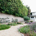 Before and After: 3 Yards Lose Lawns and Gain Gardens (9 photos)