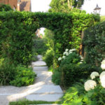 Yard of the Week: Privacy, Seating and Lush Plantings (16 photos)