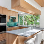 Houzz Tour: Seattle Owners Bring Nature Into Their Downtown Home (23 photos)